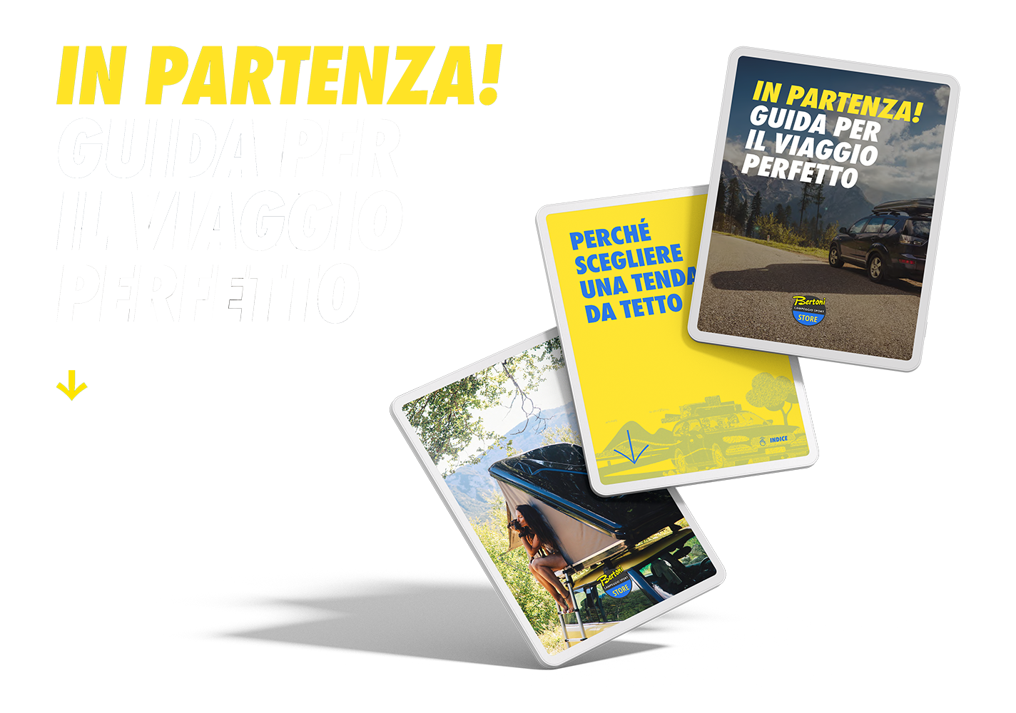 ViaggiooPerfettoBertoni